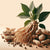Ashwagandha Extract (Powder)