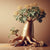Baobab (Powder)