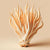 Cordyceps Extract (Powder)