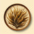 Kelp Extract (Powder)