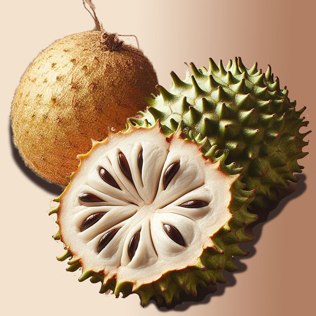 Soursop (Guanabana) Extract