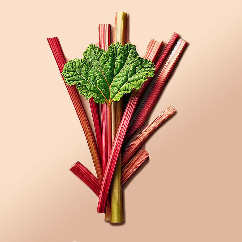 Turkey Rhubarb Extract (Powder)
