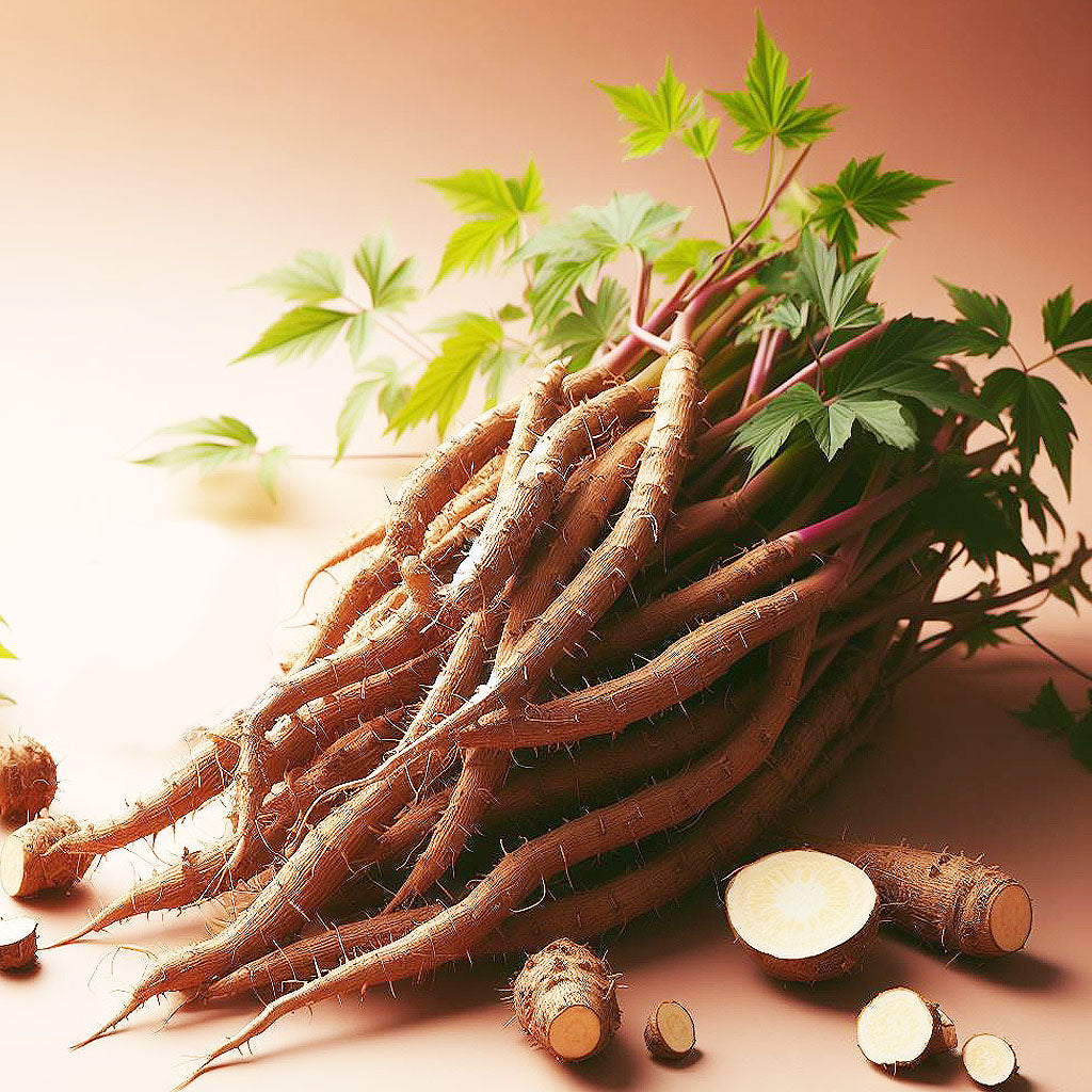 Valerian Root Extract (Powder)