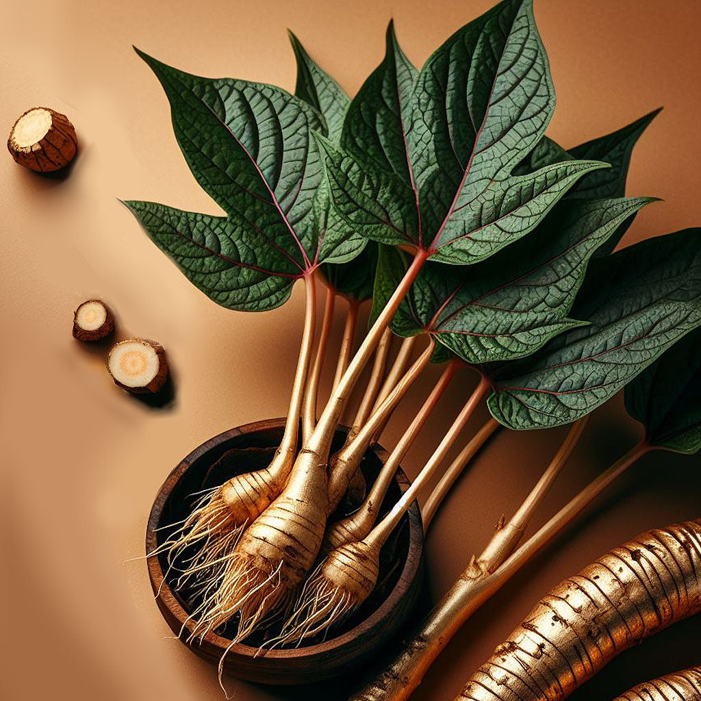 Yacon Root Extract (Powder)