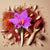 Saffron - Organic (Powder)